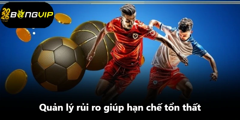 Quản lý rủi ro giúp hạn chế tổn thất