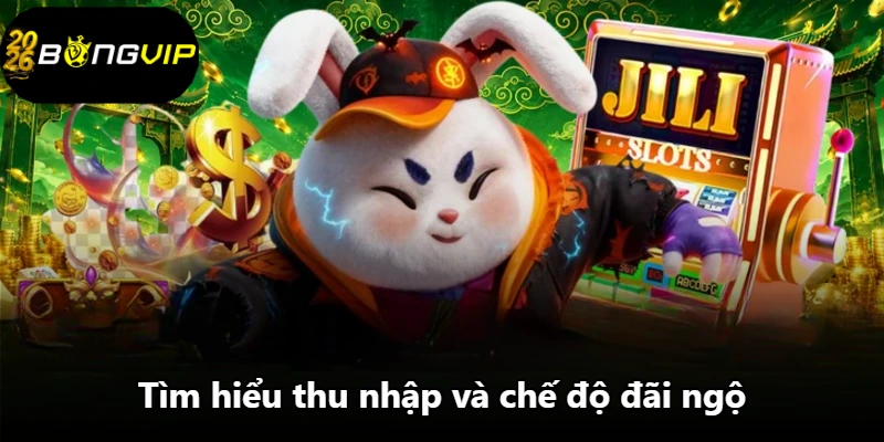 Tìm hiểu thu nhập và chế độ đãi ngộ